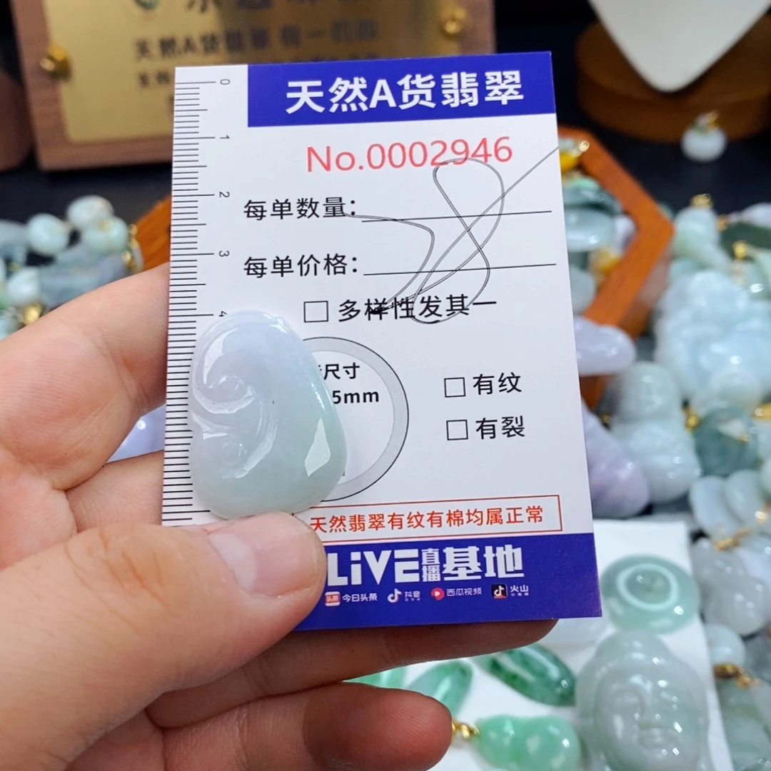 翡翠未镶嵌颈饰2946