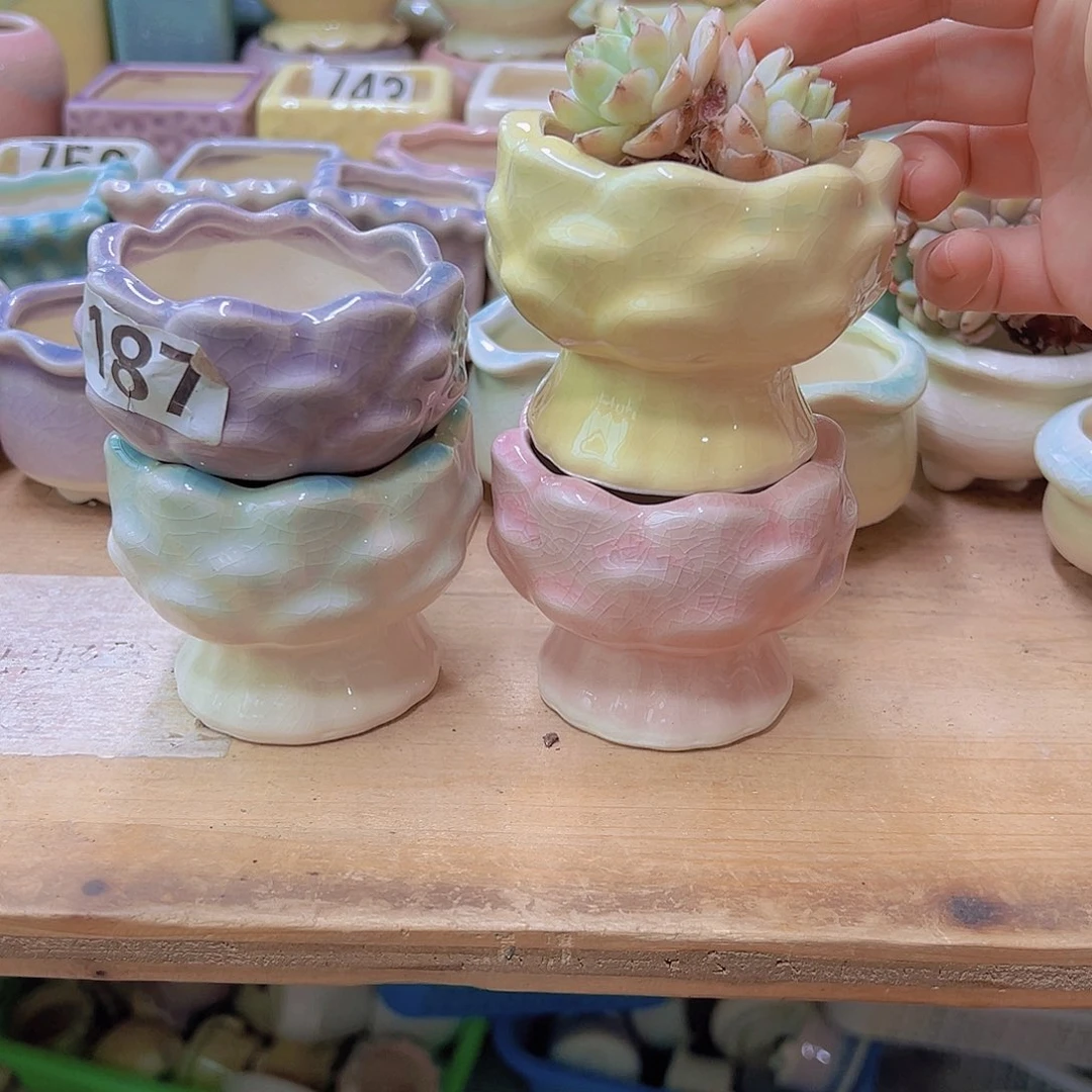 陶瓷花盆当场满12包邮