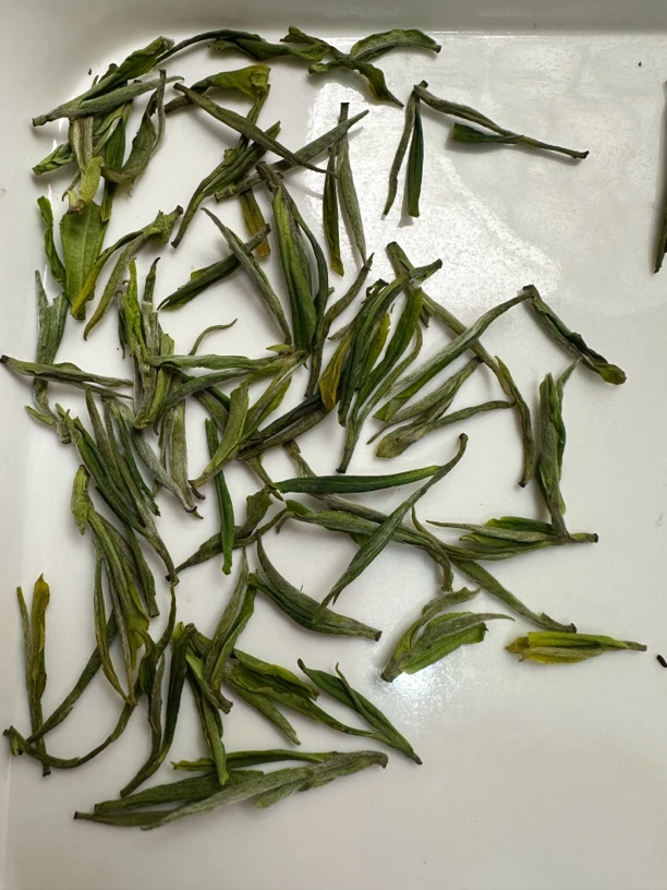 600新毛峰绿茶清香型