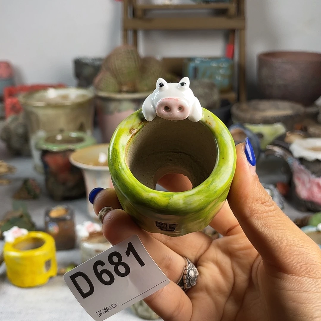 小白孤品 猪猪向上爬 内口3.5 百搭