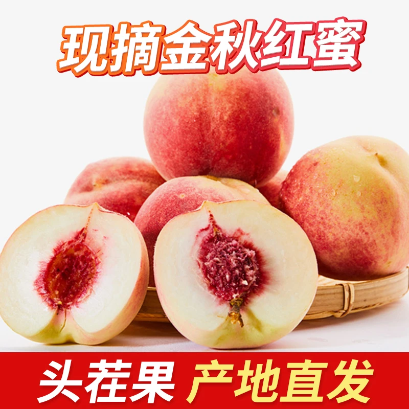 现摘金秋红蜜桃尝鲜一斤装