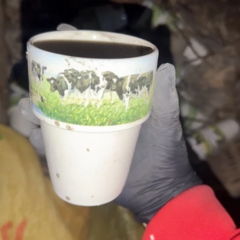 瓷片国营厂库存牛牛