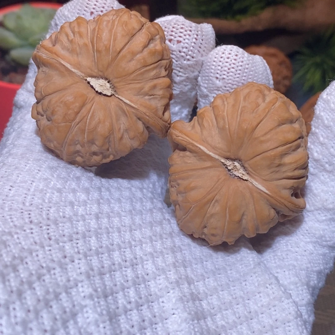 42尺 全品无修白茬 南瓜墩