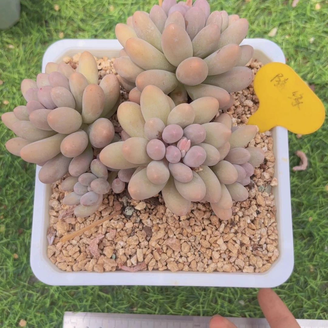我*券啦啦啦啦啦啦啦啦