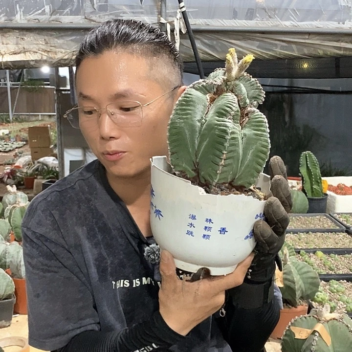 11号。有瑕疵。