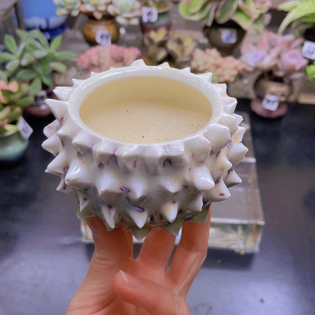 ****＊花钱花钱花钱花钱花钱