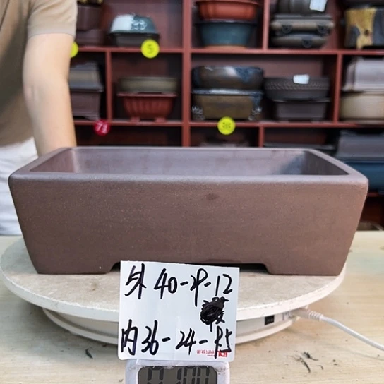 余****恙紫砂花盆中放一盆凉水煮