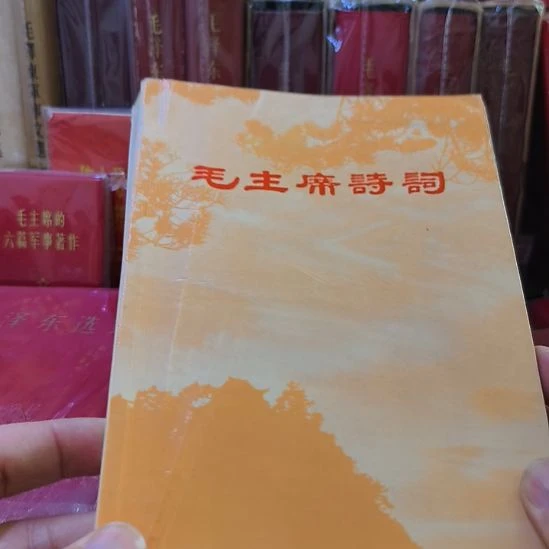 东***哥毛泽东诗词同济版