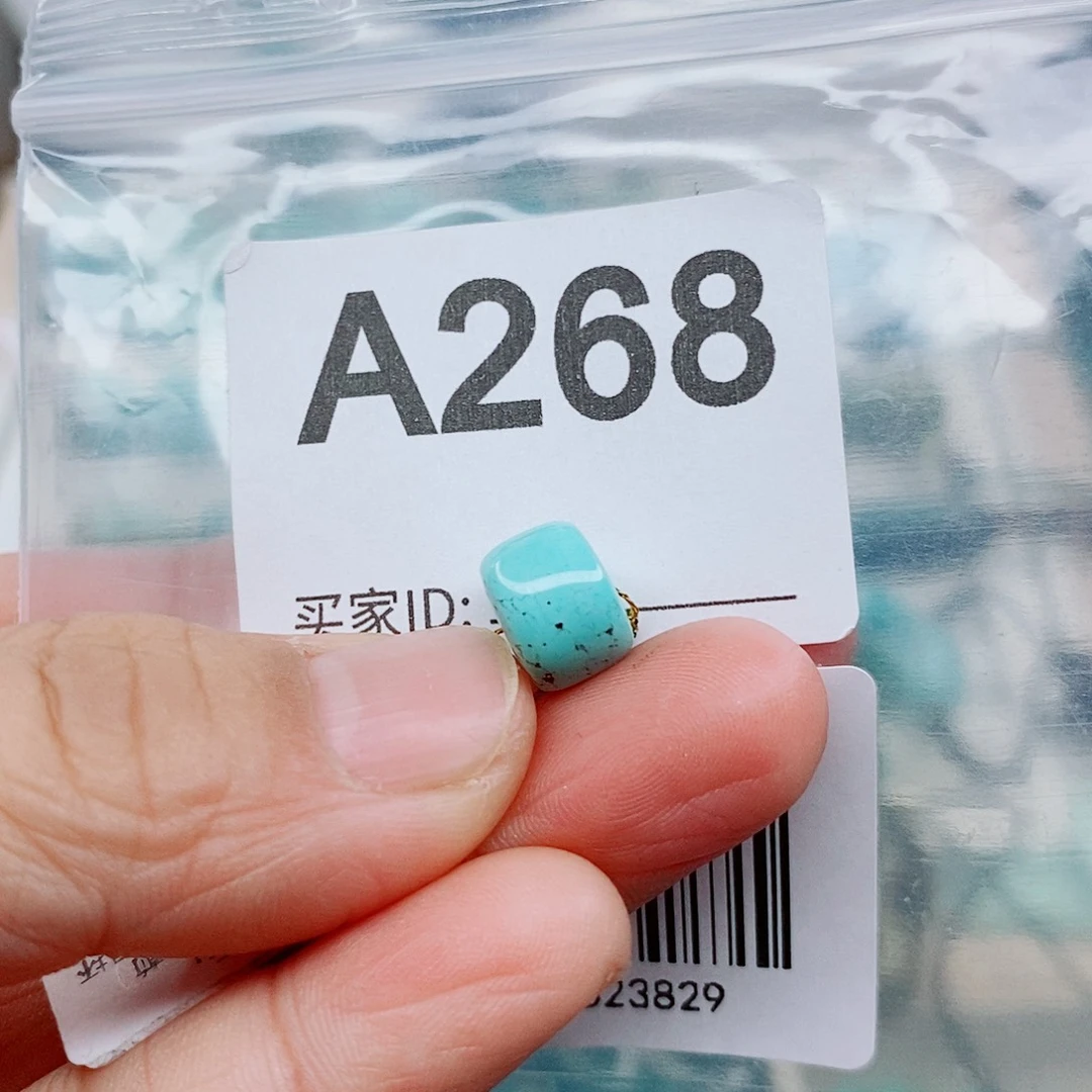 卢***雨绿松石未镶嵌颈饰