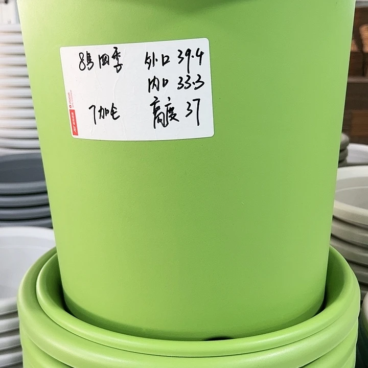 特价8号四季口39高37果绿无托3个