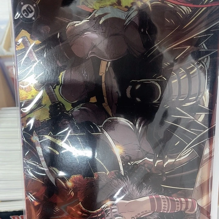 绝对女侠4铂金闪封面