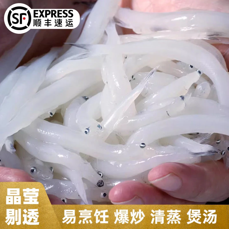 新鲜淡水银鱼鲜细嫩无刺无鳞高营养可炒蛋