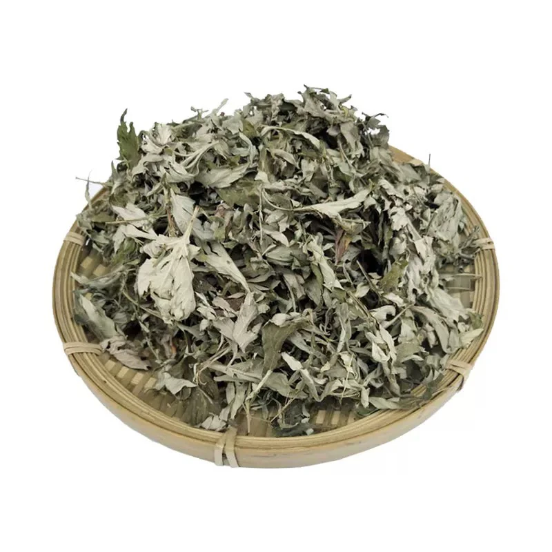 云南野生图片艾叶蚂蝗正宗艾草无梗可用于泡澡洗头洗澡艾灸泡脚