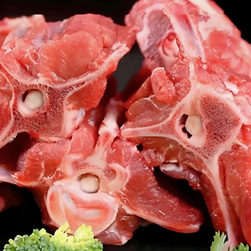 内蒙呼伦贝尔西旗羔羊羊蝎子