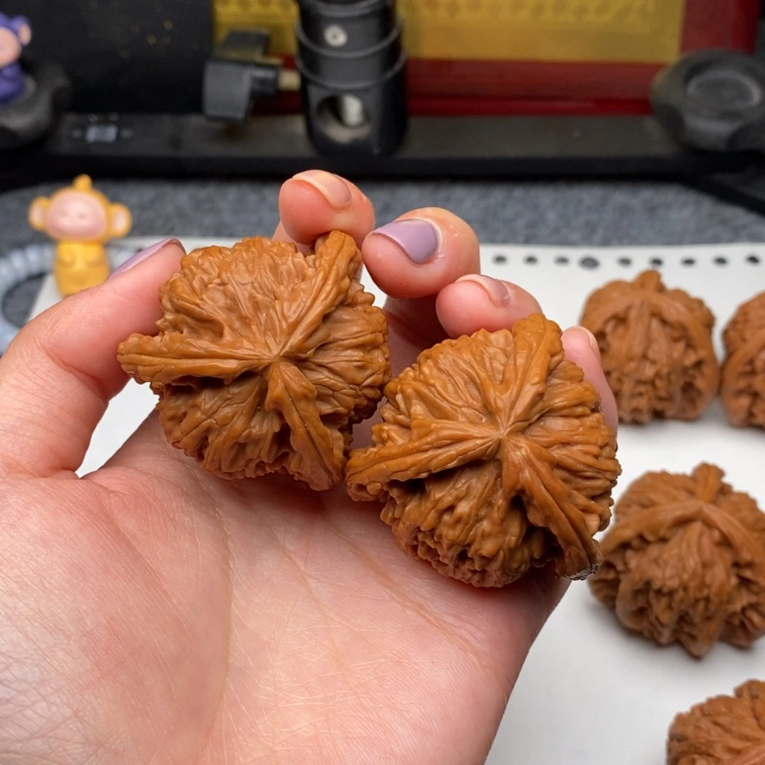 别****欢白狮子111111