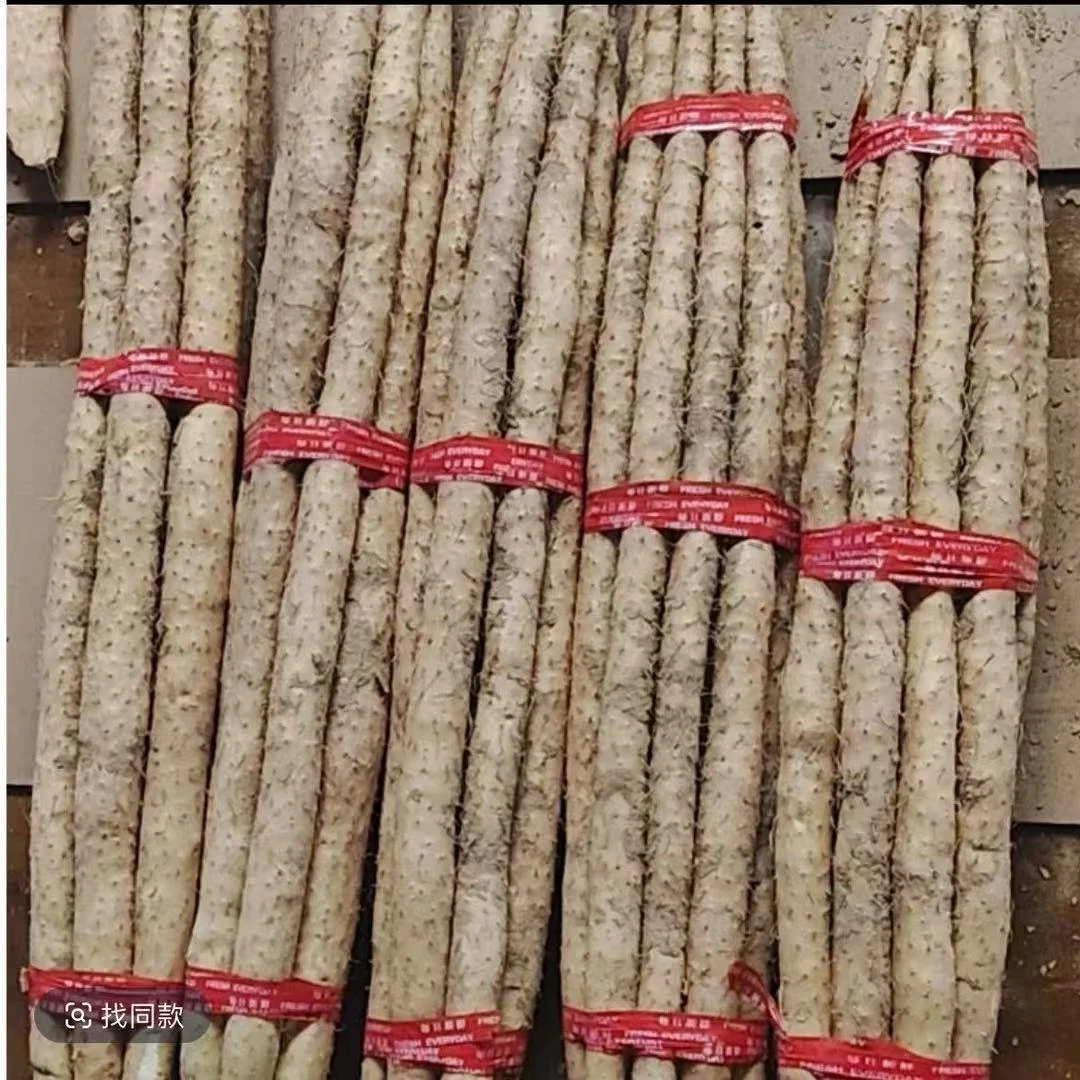 【意能达大能】（白嘴品种）正宗麻山药一箱