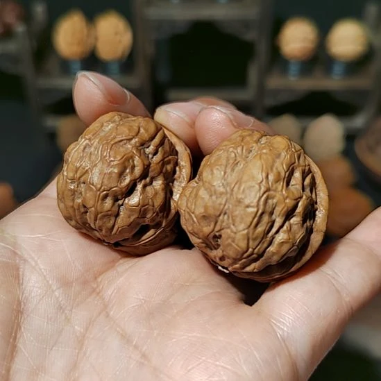 文玩核桃把件福利手捻蟒纹开背蛙33尺