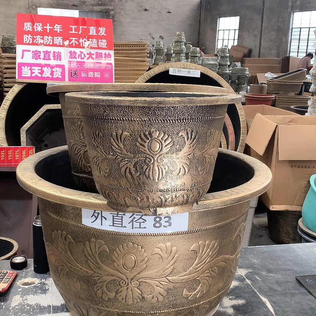 蒋*红花盆花开了