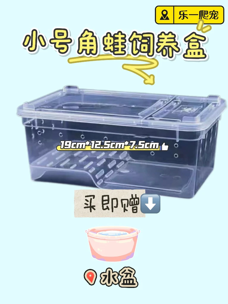 【乐一爬宠】小号角蛙水陆盒