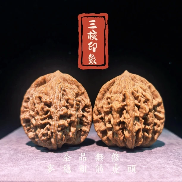 三核印象·麦穗粗筋虎头 蓟县山地果全品无修白茬34-45尺