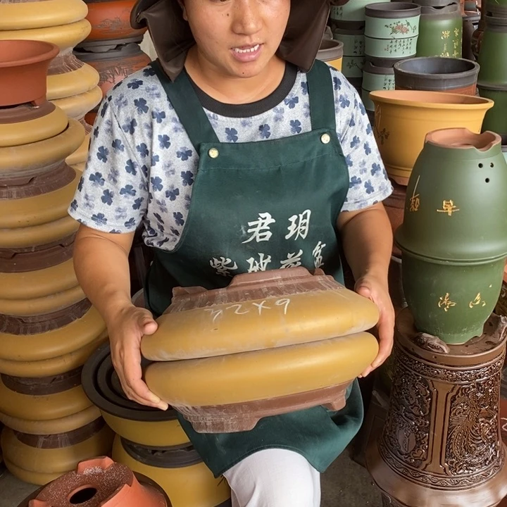 紫砂花盆盆栽花卉苗木种植