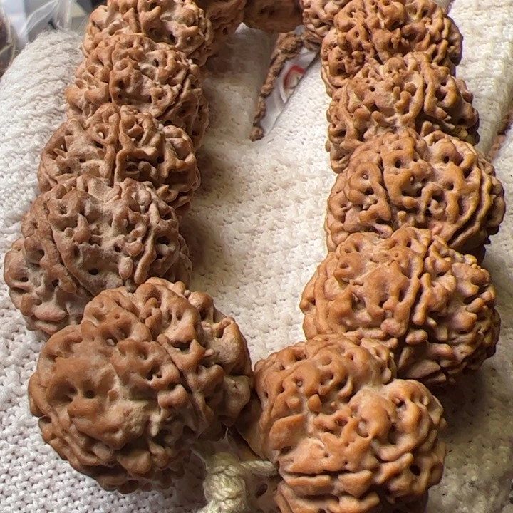 金刚菩提手串27➕平头大粗筋