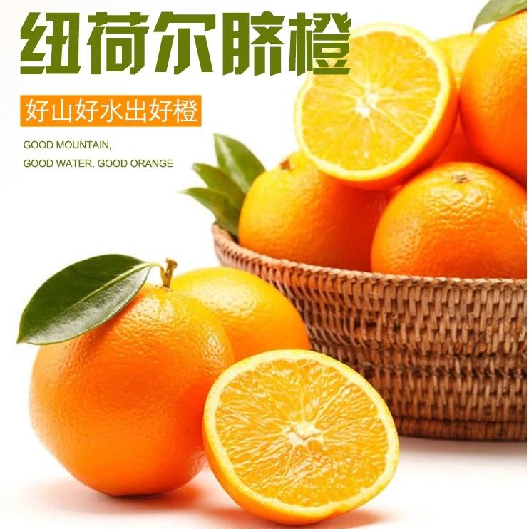 正宗高山老树脐橙香甜爆汁现摘现发纽荷尔脐橙YO