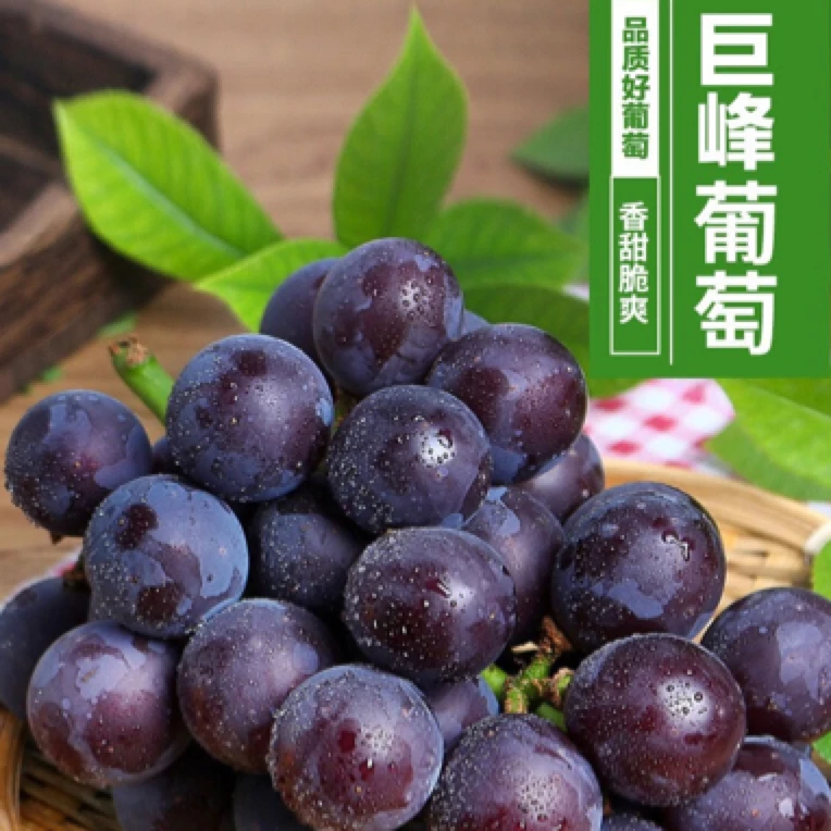 巨峰葡萄约0.3斤（摘粒）湖南省