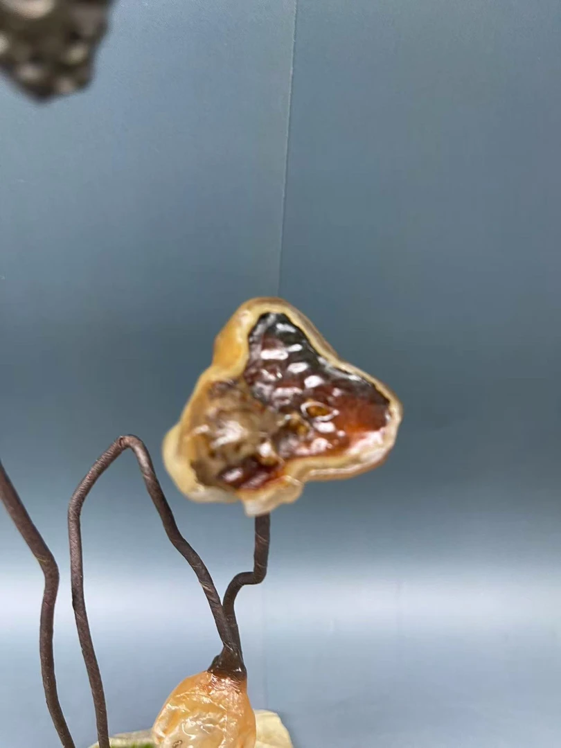 天天然原石景观摆件创意手工（直播付米专用链接，非直播勿拍）