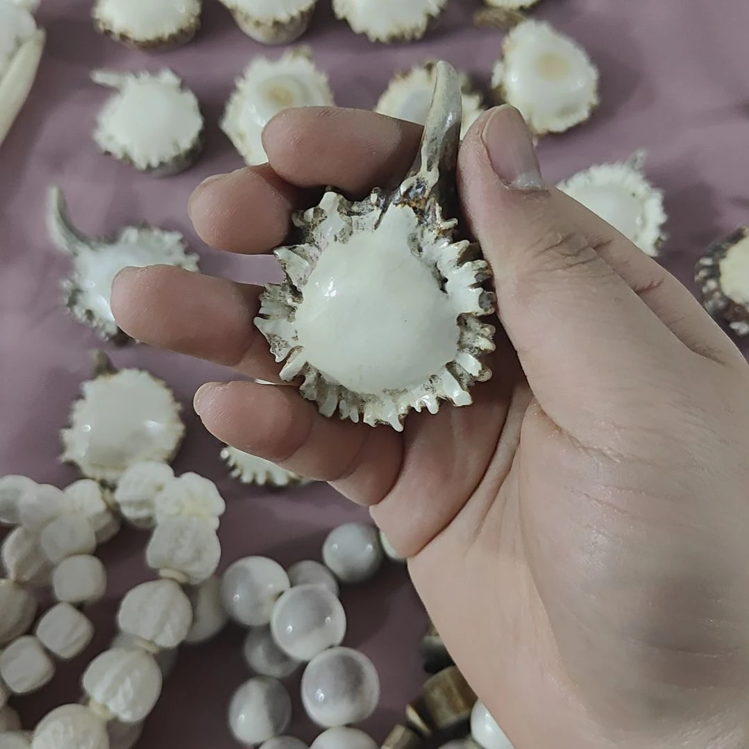 非金属鹿角精品工艺品