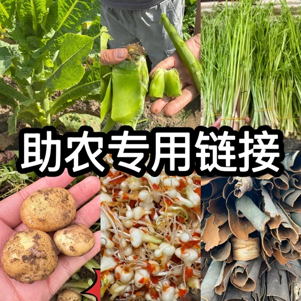 小袁助农专用链接生鲜蔬菜
