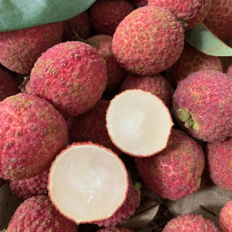 海南无核荔枝 当季水果  4.5斤 LZ