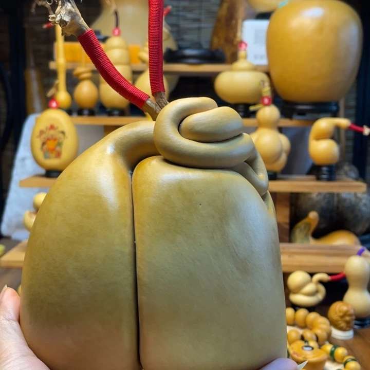 北***门天然葫芦自然生长