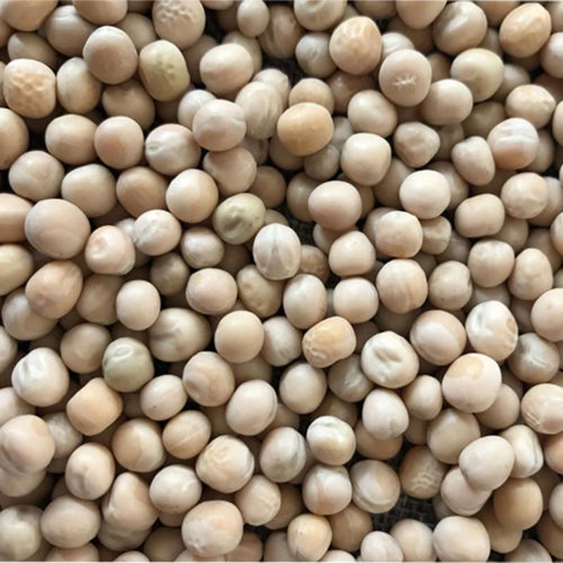 ［荷兰豆]不是黄豆不要拍错哦荷兰豆农家自晒煲汤