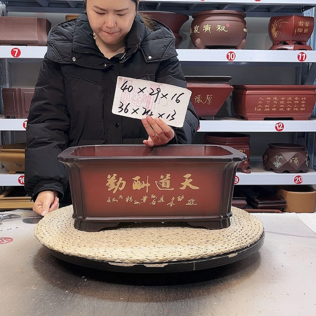 花盆紫砂紫砂花盆中