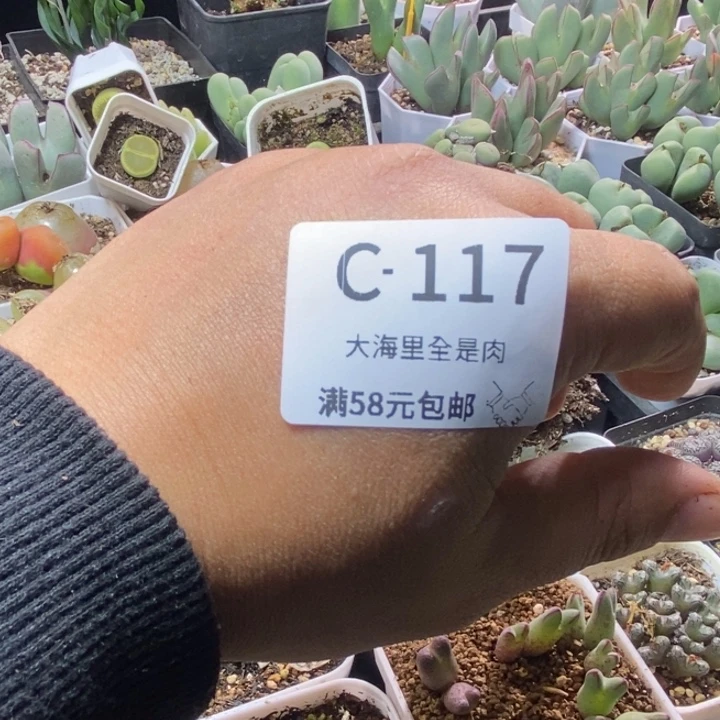 郭****52555655555588998888