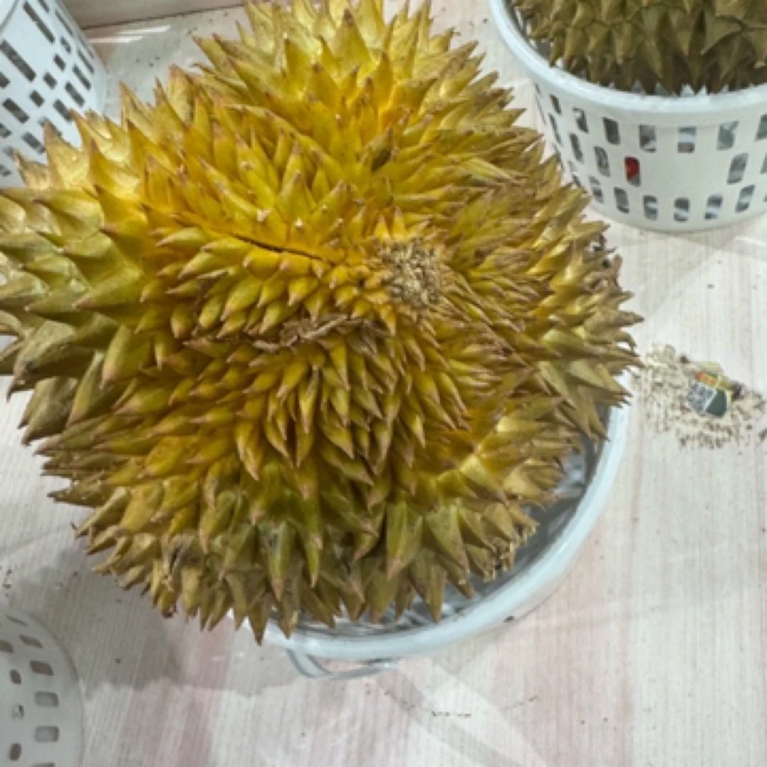 新鲜煲汤榴莲肉（一斤左右核小）榴莲同城送金枕泰国