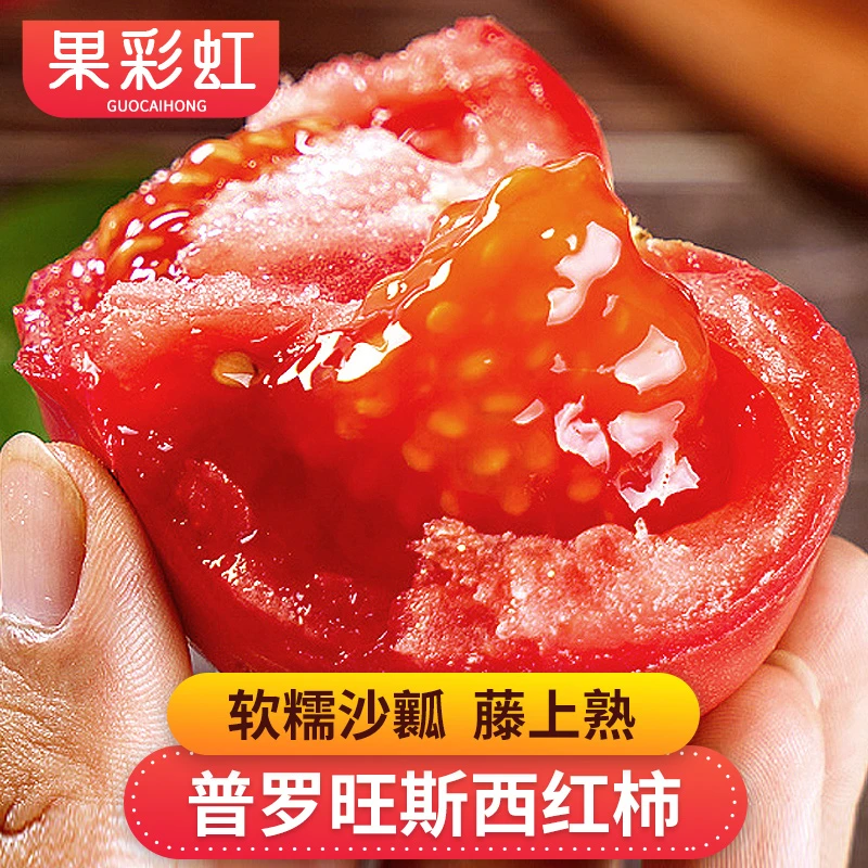 【果彩虹】陕西普罗旺斯西红柿3-4.5斤软糯沙瓤藤上熟酸甜可口