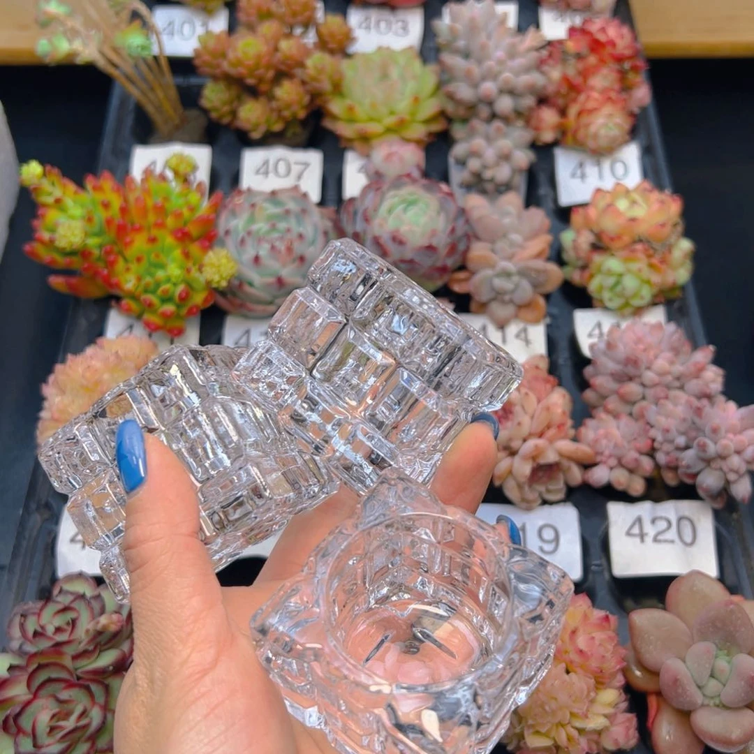 水晶拇指花盆一个，不含多肉，全店三单包邮
