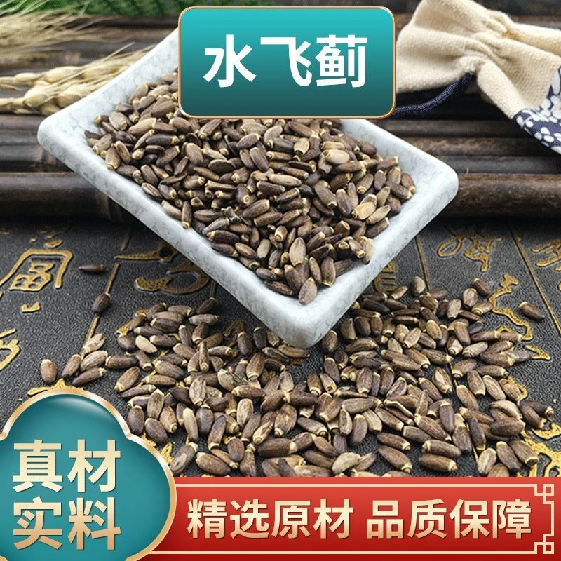 叶主任推荐 水飞蓟 可搭配赶黄草（已开价）