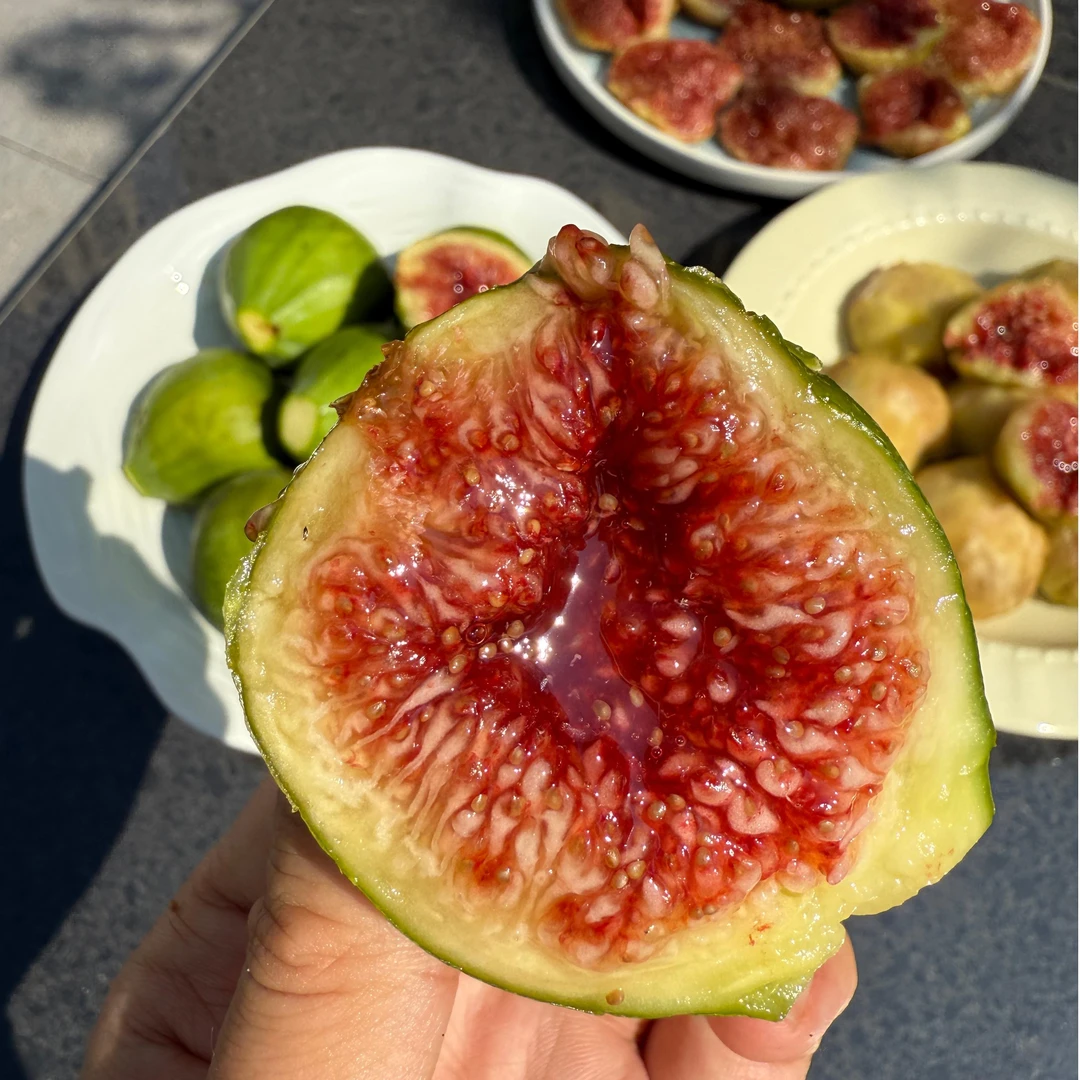 壹果果 威海青皮无花果 秋果带蜜超甜孕妇水果