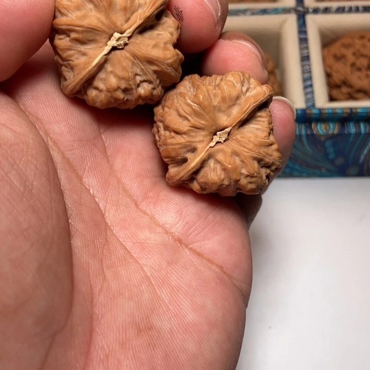 文玩核桃把件波**佛元宝