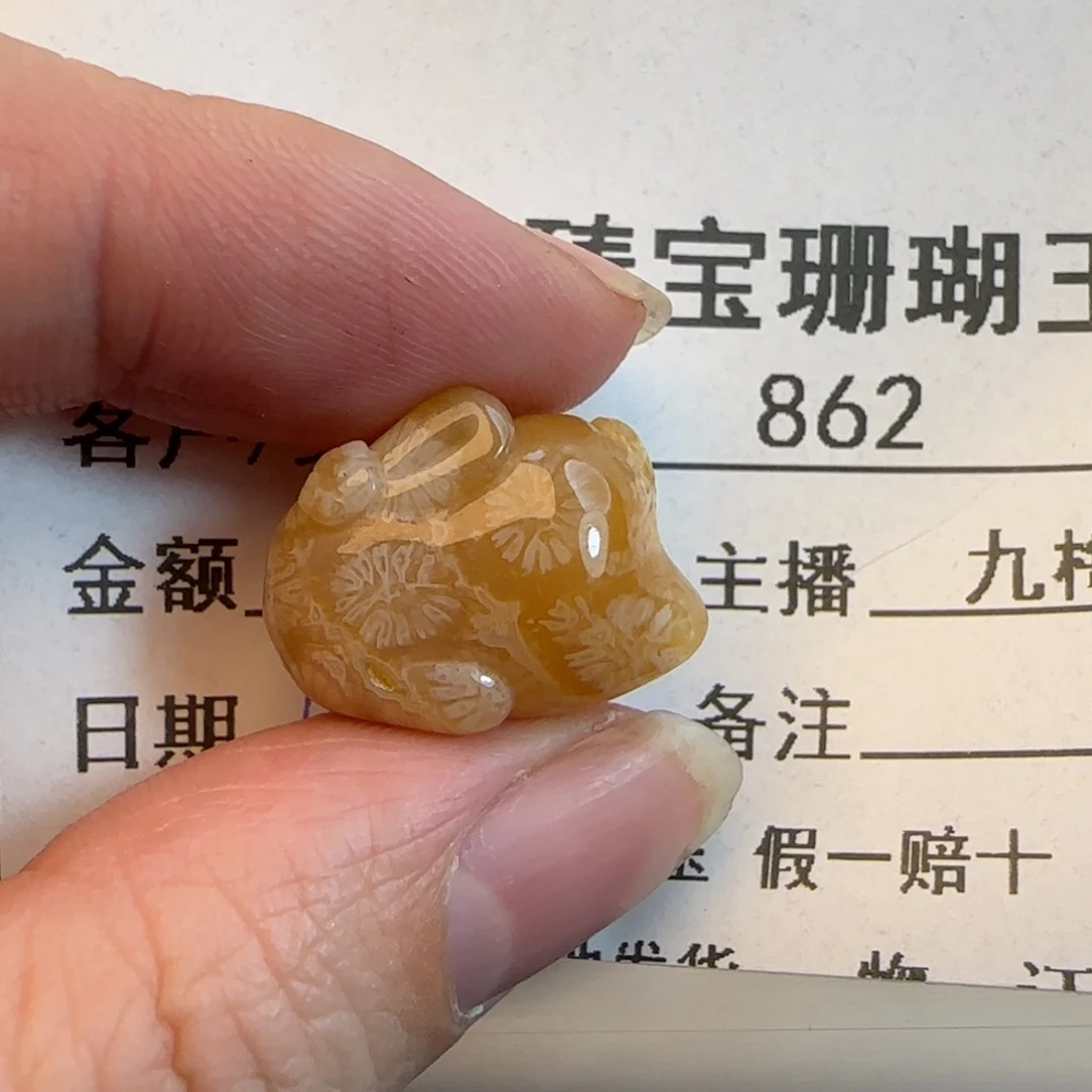 硅化珊瑚（珊瑚玉）未镶嵌吊坠(不含链)