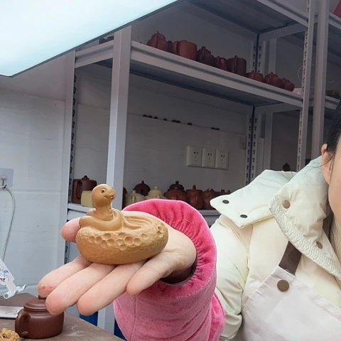 段泥蛇茶宠茶宠茶宠