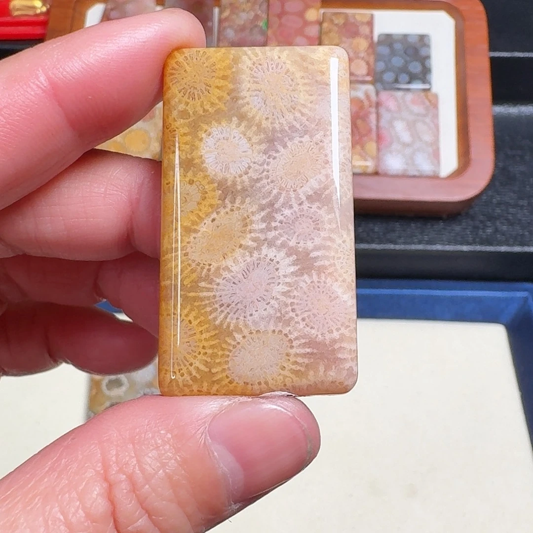 未镶嵌吊坠(不含链)硅化玉海胆花