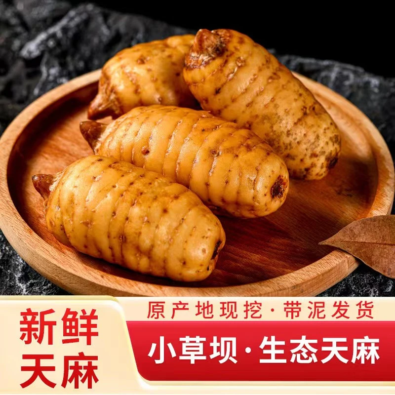 新鲜现挖云南原生态昭通小草坝天麻熬汤煲汤食材