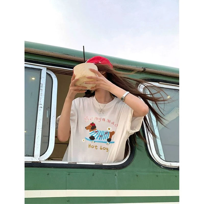 100%纯棉高颜值刺绣短袖t恤女2025新款爆款设计感美式宽松上衣ins