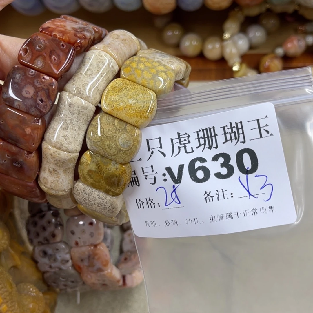 原***道硅化珊瑚（珊瑚玉）未镶嵌h