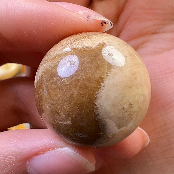 蜜蜡颈饰未镶嵌蜜蜡