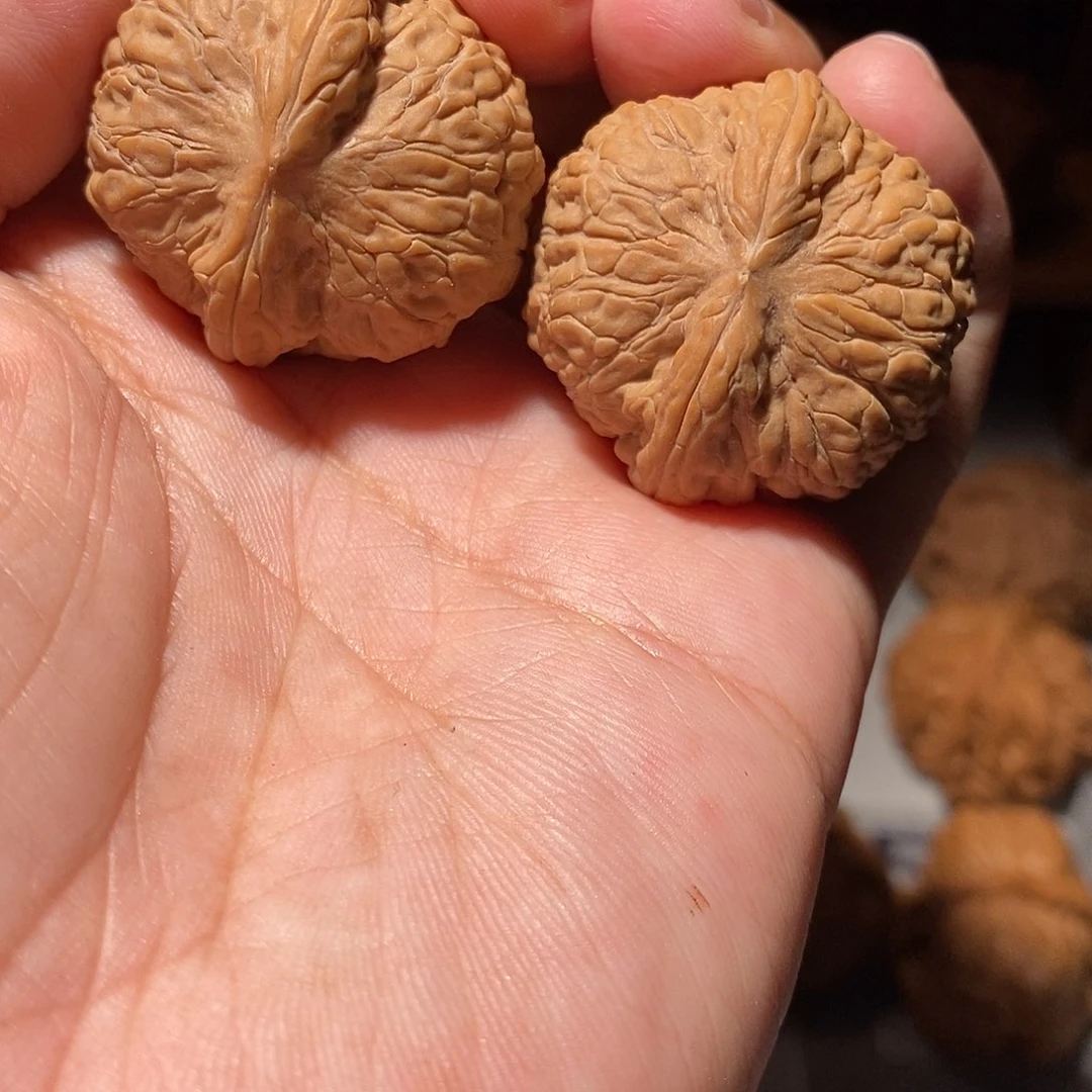 文玩核桃把件063平底锅核桃